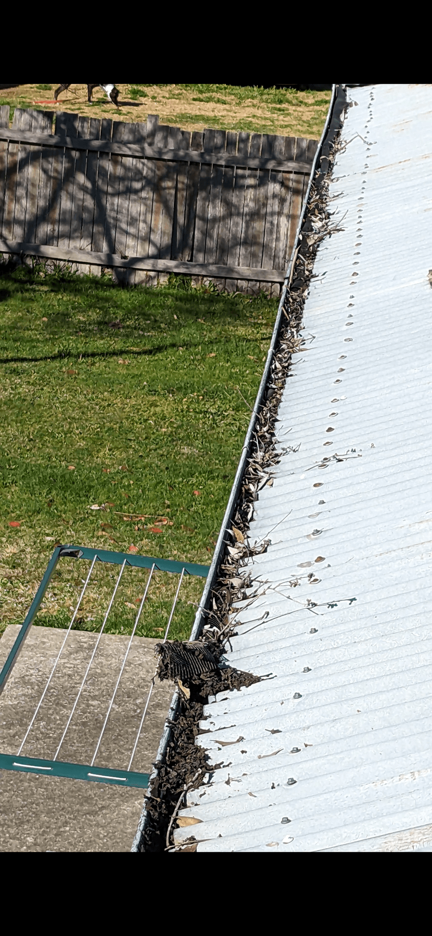 Gutter Cleaning